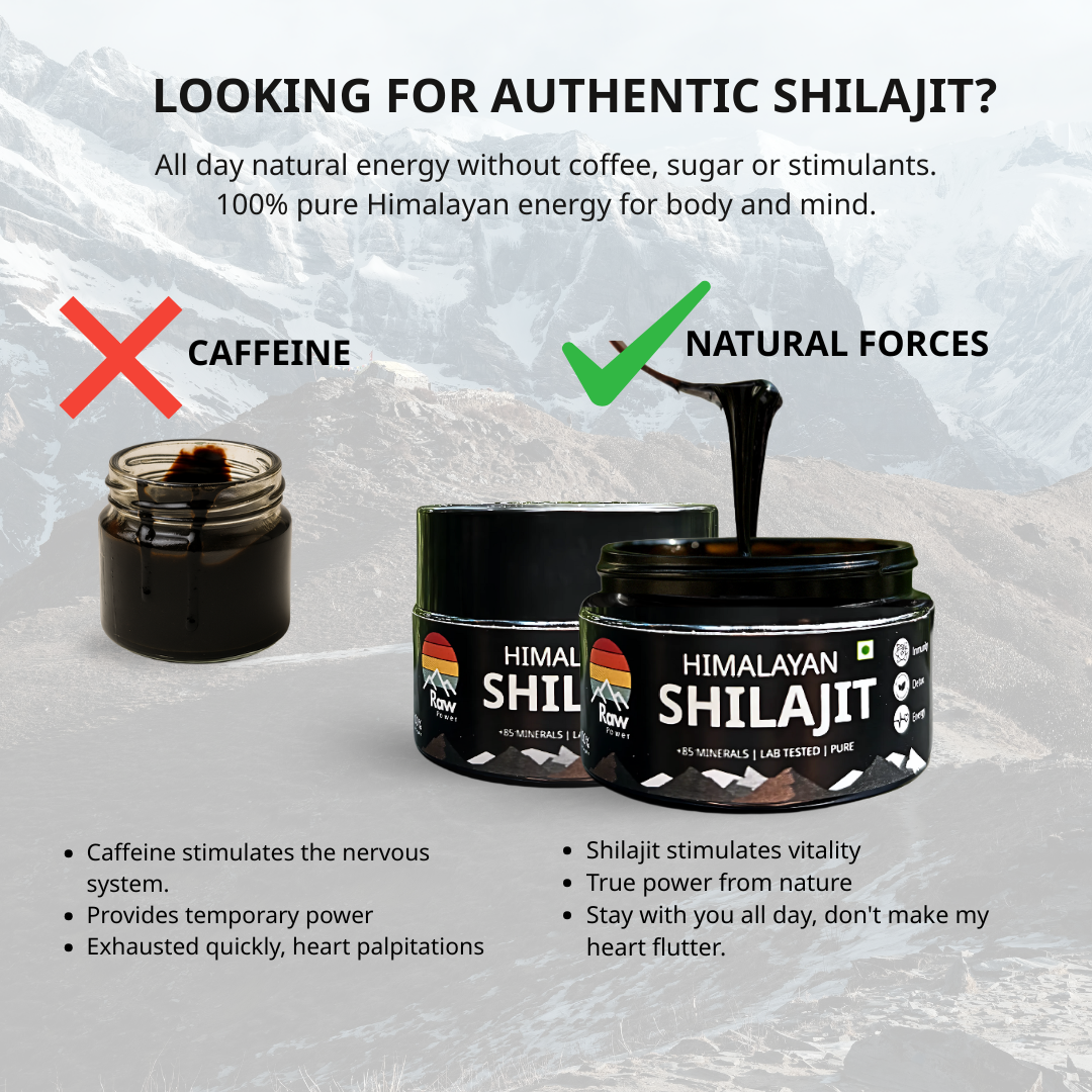 10g | Raw Power X Shilajit – Total Body Reset