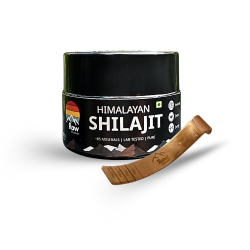 20g | Raw Power X Shilajit – Total Body Reset