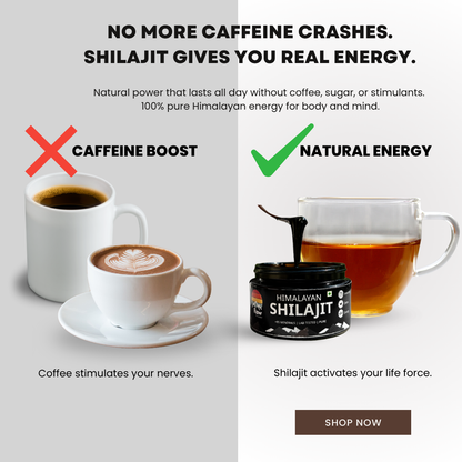 10g | Raw Power X Shilajit – Total Body Reset